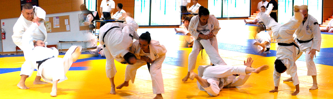 Shorinji Kempo Bushido Club Como